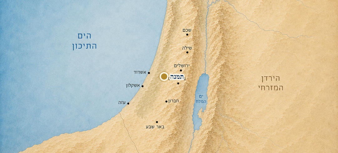 תמנה על המפה